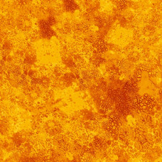 De's Texture Basics 0225S orange
